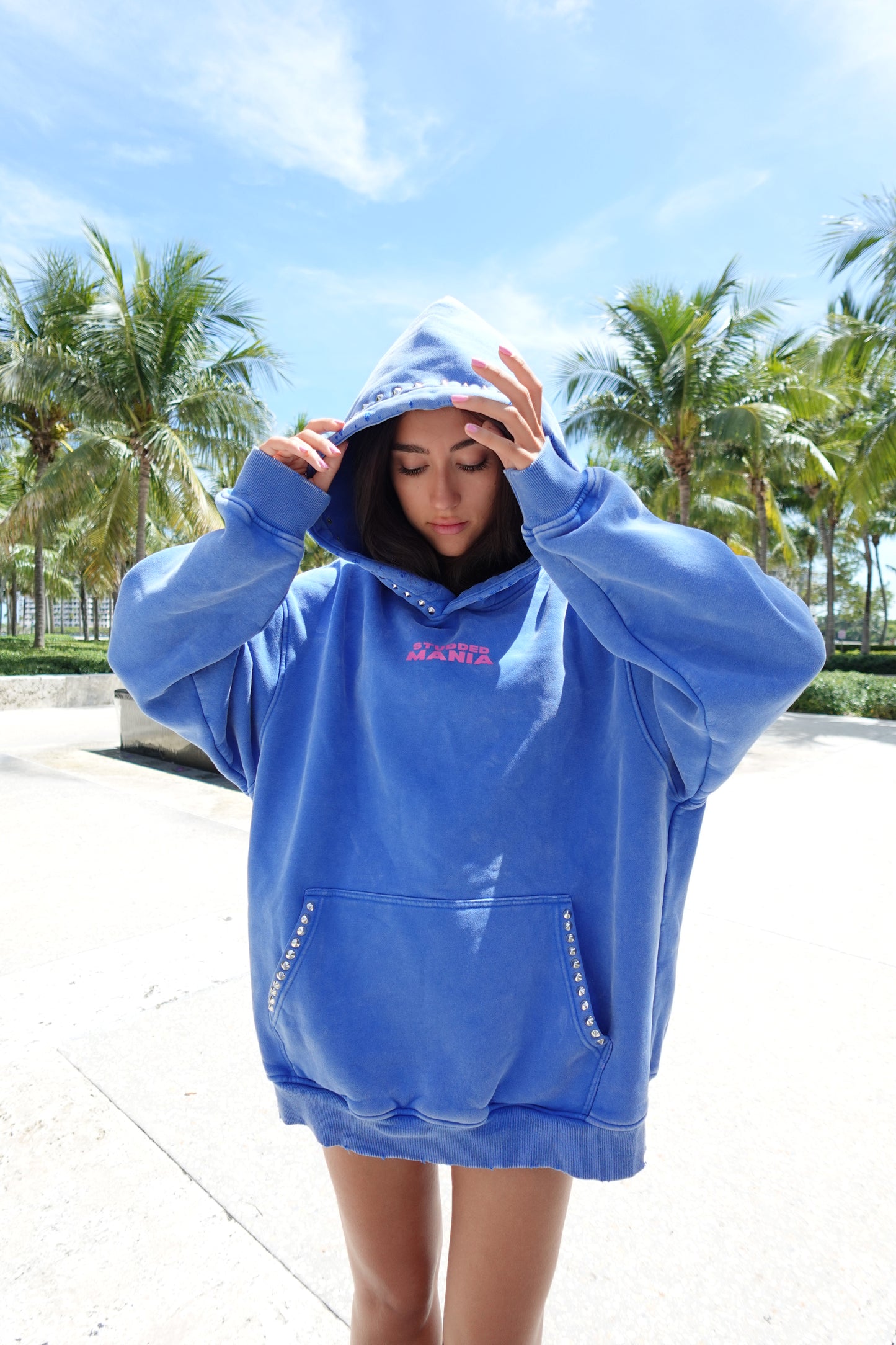 BLUE AND PINK ANGEL WINGS HOODIE (PRE-ORDER)